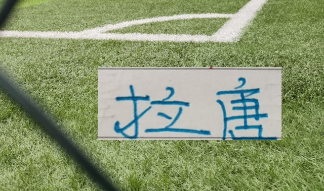 蜘蛛直播官方网站-这标王值了！申花新9号不仅能抗伤又听话  还是射手第一 满满优点