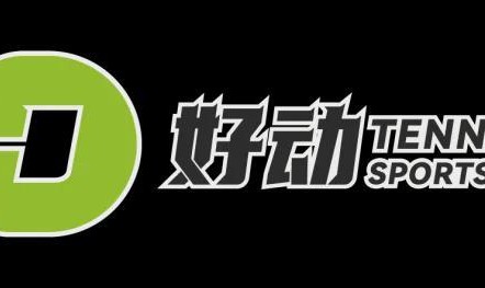 蜘蛛直播-哑巴选手找回唐僧教练后 莱巴金娜的“钻石”模式还在继续